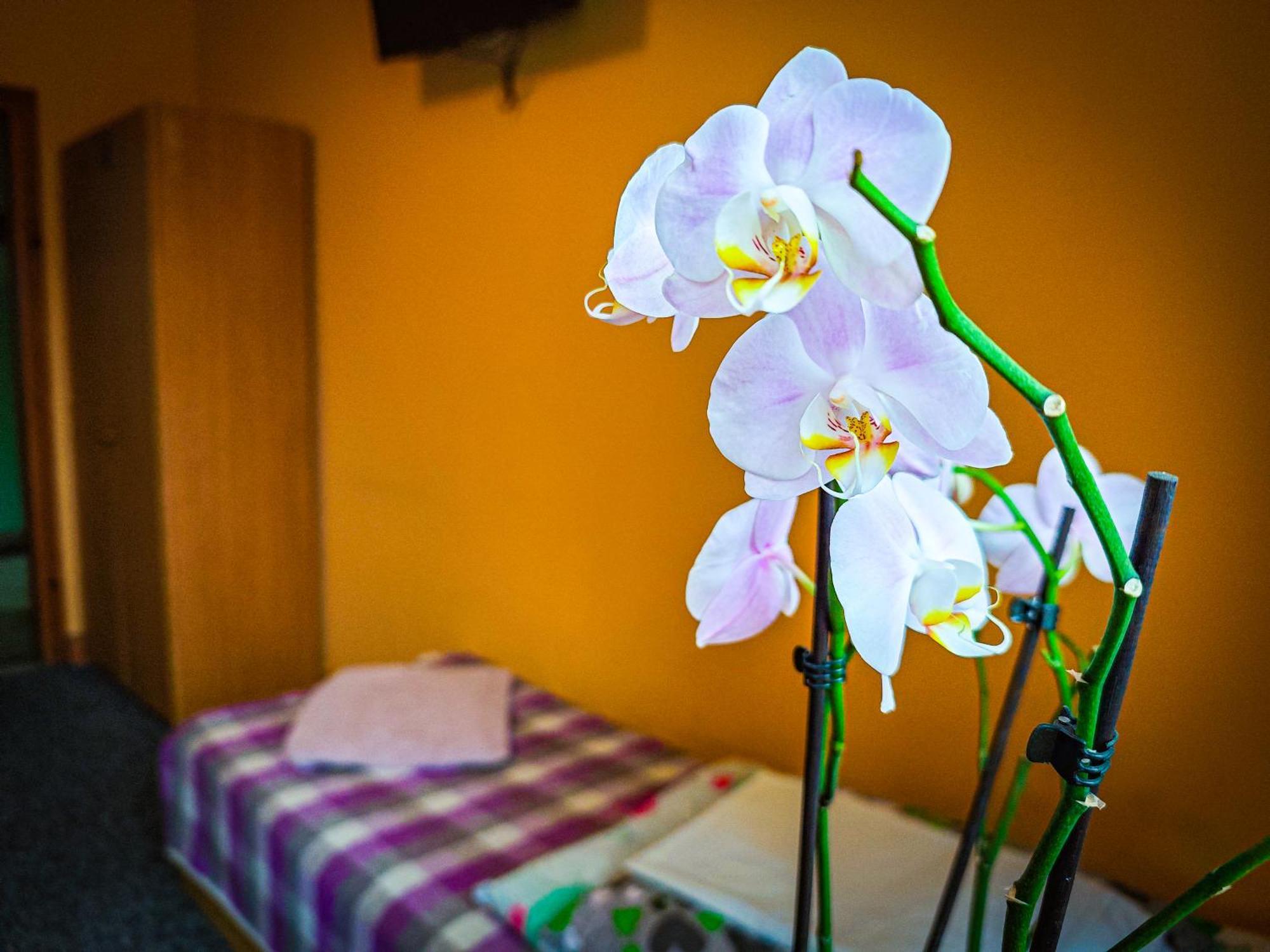 Holiday home U Stocha Poronin